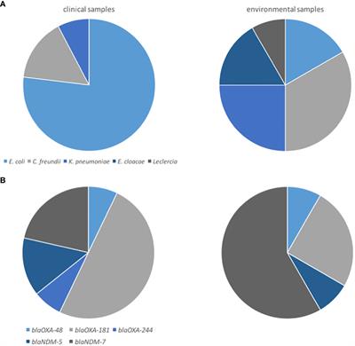 Carbapenem-producing Enterobacteriaceae in mothers and newborns in southeast Gabon, 2022